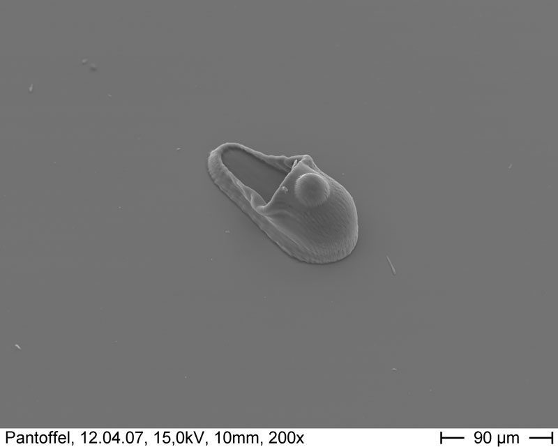 Mikroskulptur aus Liquid
Photo Polymer am MPI-CBG. in: terra Incognita. Weltbilder-Welterfahrungen