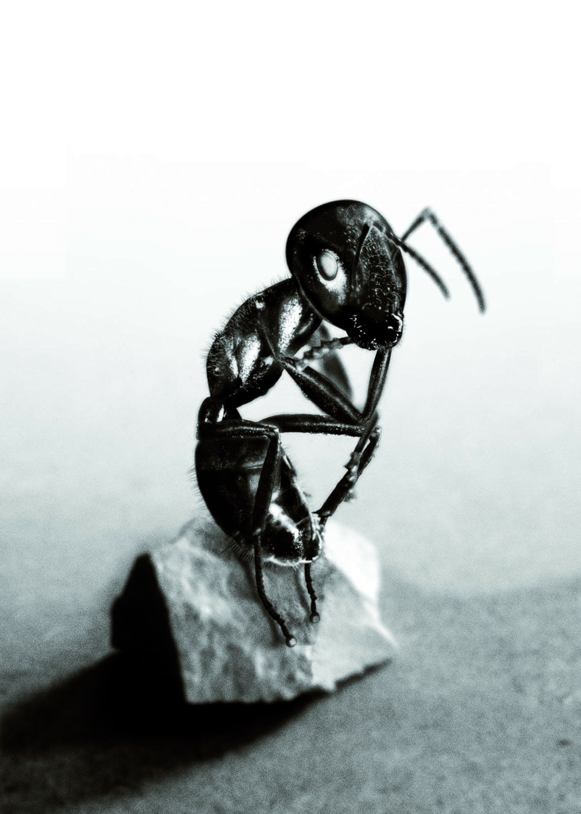 Fotografie seiner mit Rodin spielenden Miniaturplastik "The Thinker", 2008