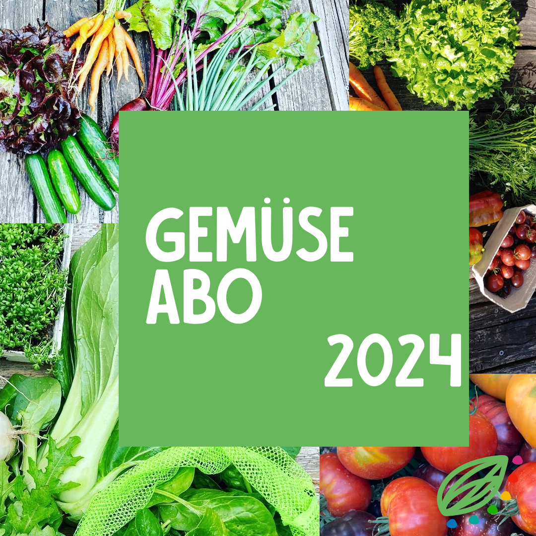 Gemüseabo 2024