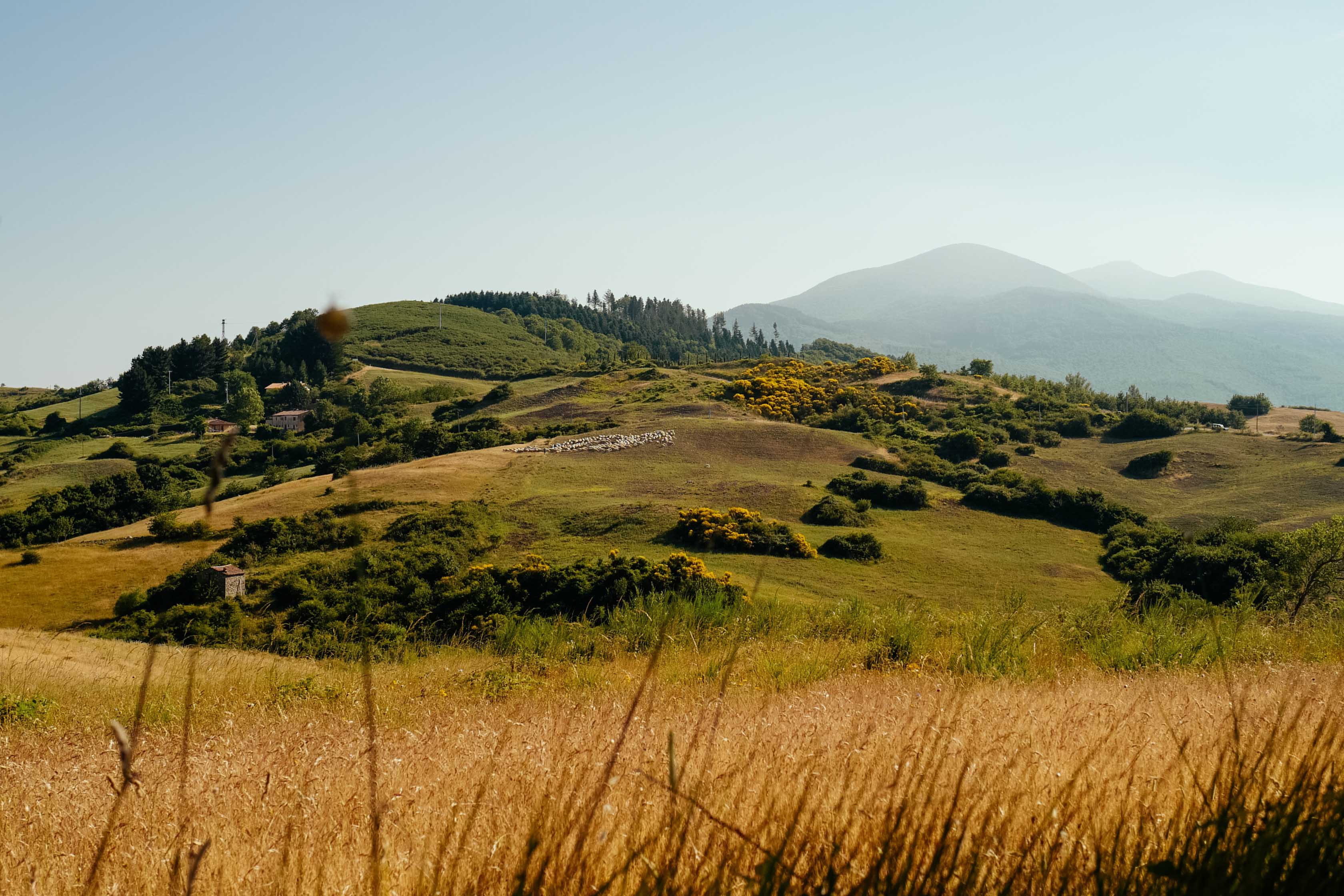 Eine wudnerschöne Hügellandschaft der italnienischen Toskana ist zu sehen