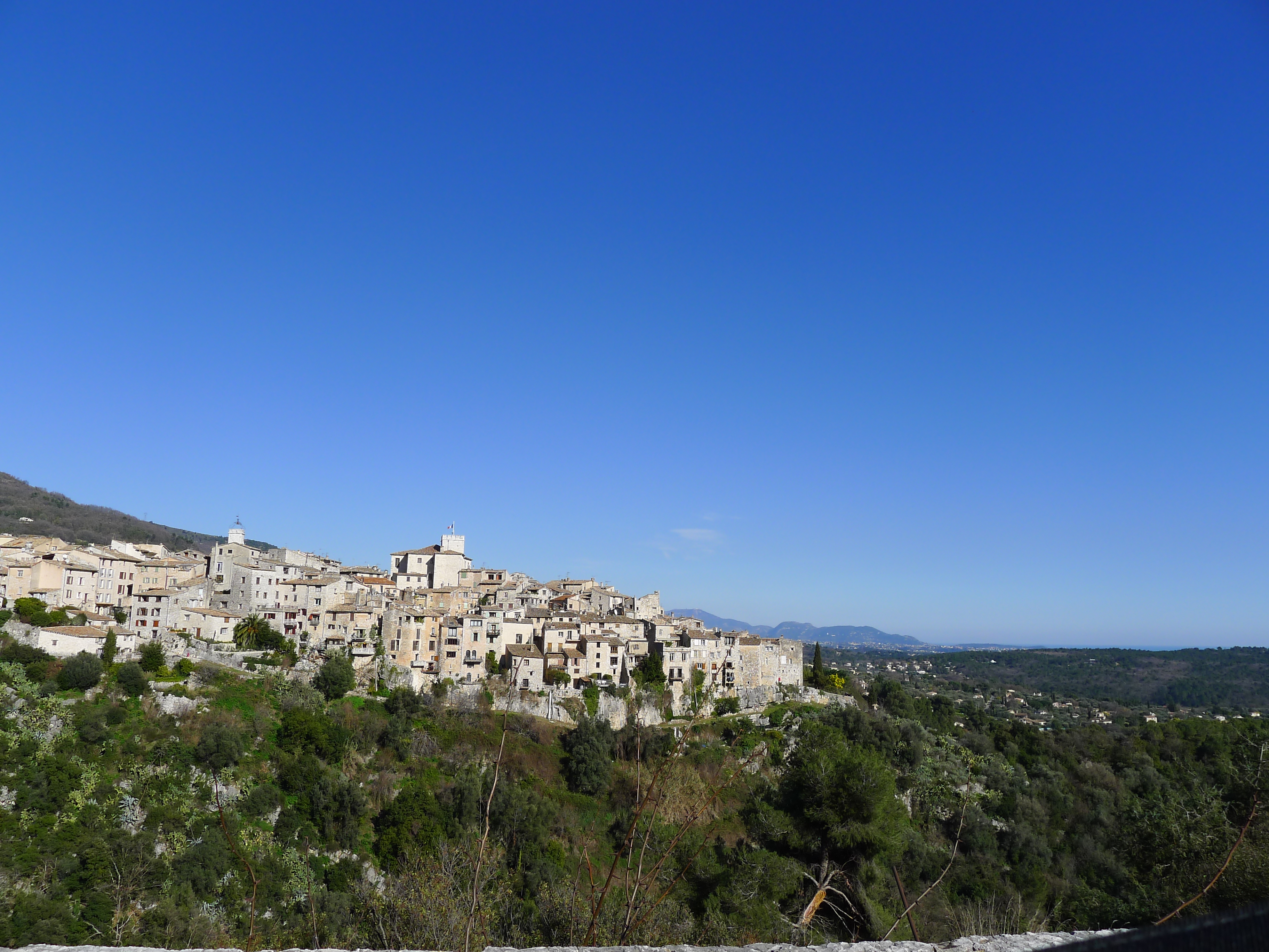 L1000772JPG
