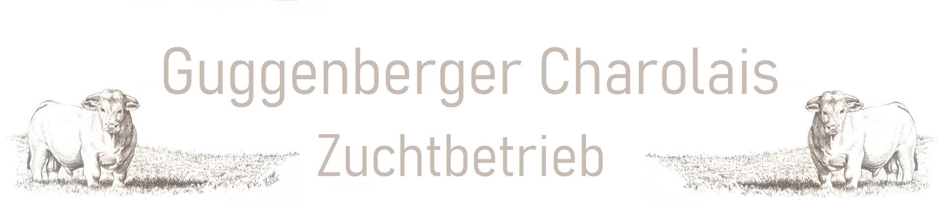 Guggenberger Charolais Zuchtbetrieb