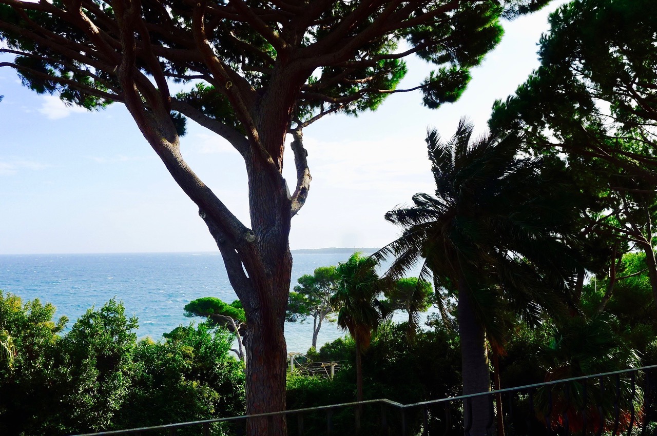 Villa_Cannes_seaview Tusculumjpeg
