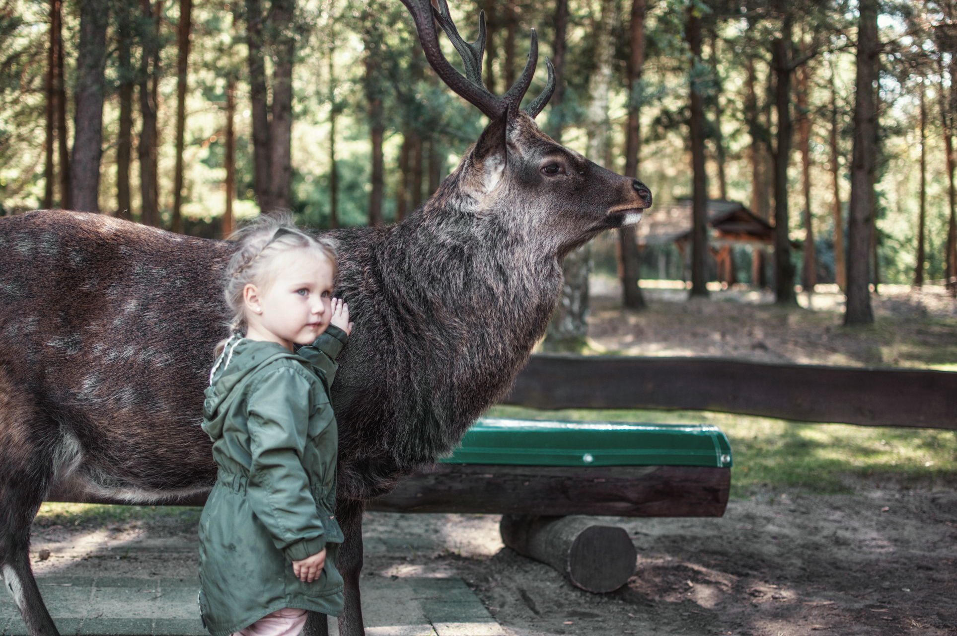 Sonnenzeiten F r Tiere E V Tierschutzverein Falkensee Sonnenzeiten F r Tiere E V Tierschutzverein Falkensee