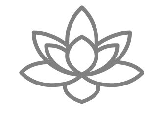 lozus_blume_graupng