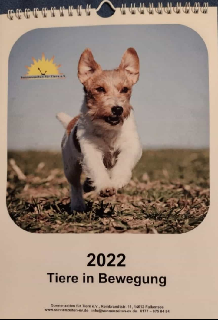 Der Kalender 2022 ist da