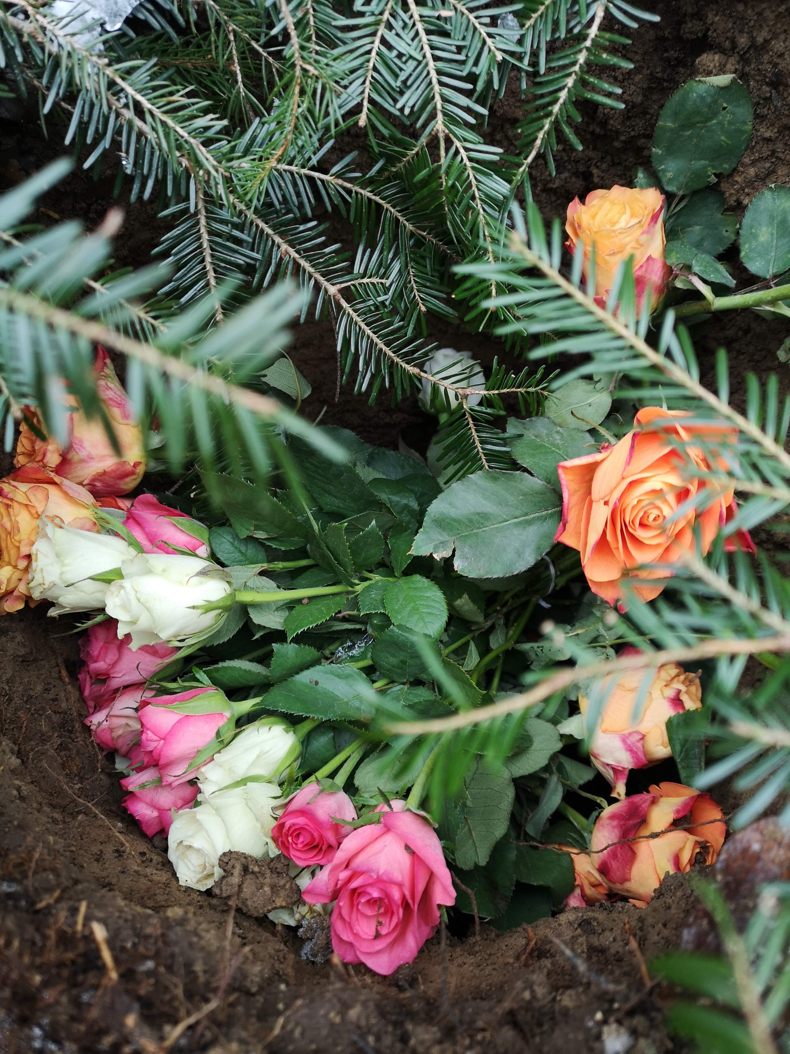 Blumen im Urnengrab nach einer Beisetzung durch die freie Trauerrednerin Michaela Burch