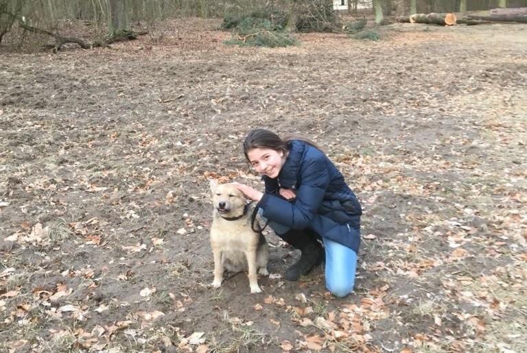 Sonnenzeiten F r Tiere E V Tierschutzverein Falkensee Sonnenzeiten F r Tiere E V Tierschutzverein Falkensee